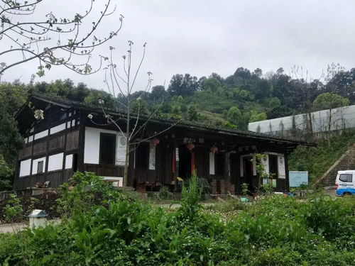 龍臺(tái)山生態(tài)園真人CS體驗(yàn) 生態(tài)與競技的完美融合