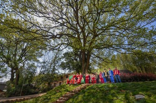 浙江擘畫詩路文化新藍(lán)圖 九市聯(lián)動(dòng)，生態(tài)為基，打造中華文脈傳承創(chuàng)新帶