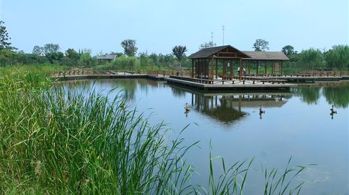 國慶樂游 上海出發(fā)，千燈古鎮(zhèn)與大唐生態(tài)園一日探幽之旅